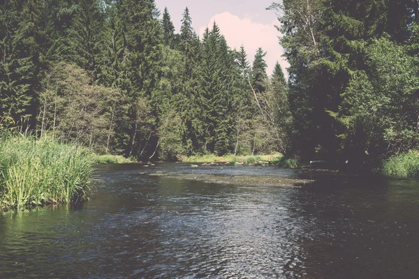 Rivière de montagne en été entouré par la forêt - vintage rétro — Photo