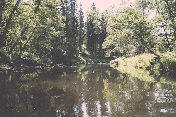 Rivière de montagne en été entouré par la forêt - vintage rétro — Photo