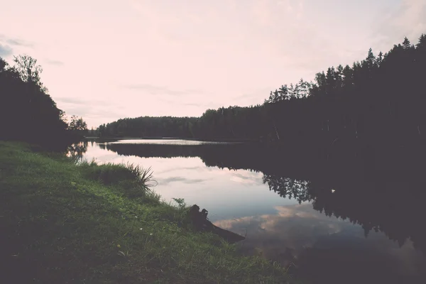 Mountain river på sommaren omgiven av skog - vintage retro — Stockfoto