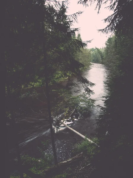 Río de montaña en verano rodeado de bosque - vintage retro — Foto de Stock
