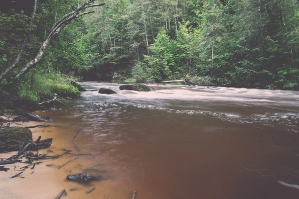 Mountain river in summer surrounded by forest - vintage retro — Stock Photo, Image