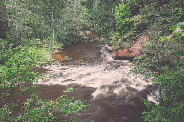 Horská řeka v létě obklopen lesem - vintage retro — Stock fotografie