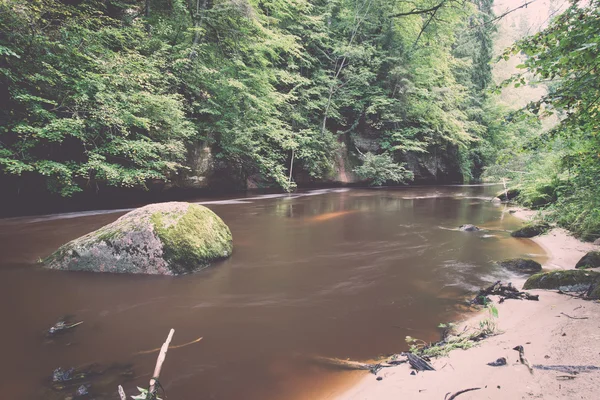 Rivière de montagne en été entouré par la forêt - vintage rétro — Photo