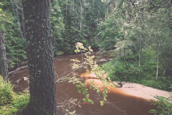 Rio de montanha no verão cercado por floresta - vintage retro — Fotografia de Stock