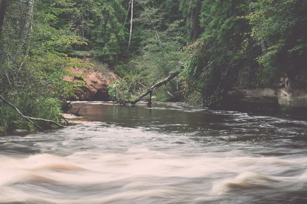 Horská řeka v létě obklopen lesem - vintage retro — Stock fotografie