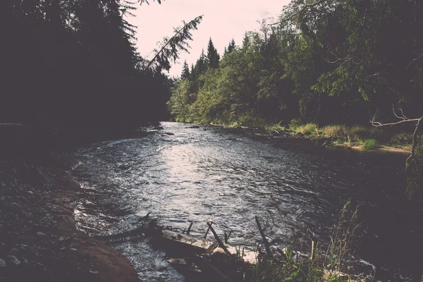 Río de montaña en verano rodeado de bosque - vintage retro —  Fotos de Stock