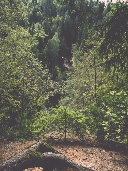 夏季山区河流环绕森林复古复古 — 图库照片