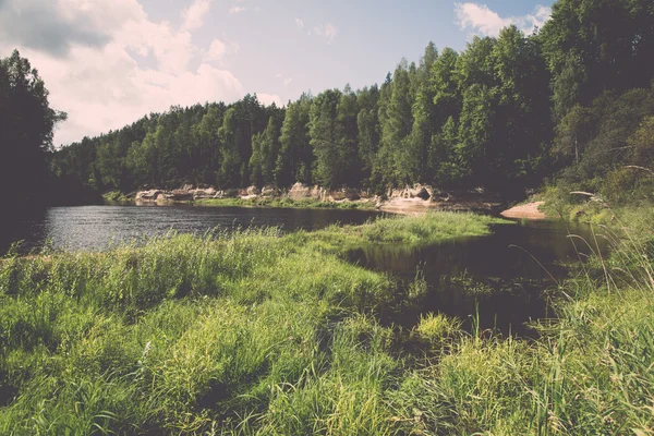 Río de montaña en verano rodeado de bosque - vintage retro —  Fotos de Stock