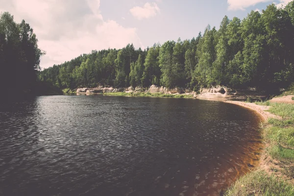 Berg rivier in de zomer omringd door bos - vintage retro — Stockfoto