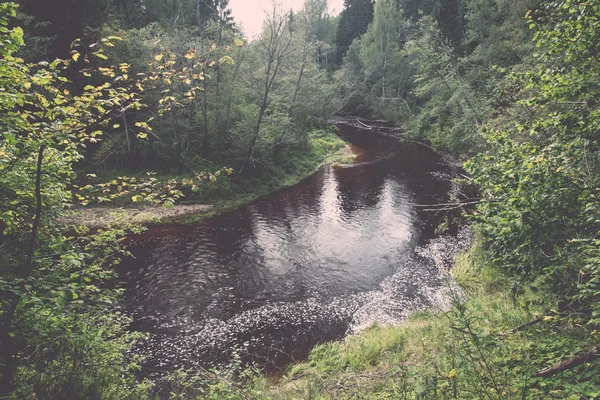 Río de montaña en verano rodeado de bosque - vintage retro —  Fotos de Stock