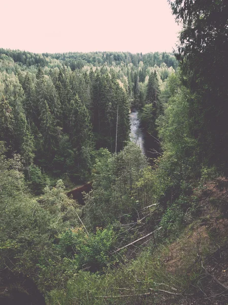 Fiume di montagna in estate circondato da boschi vintage retrò — Foto Stock