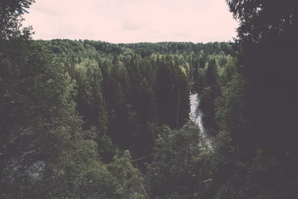 Горная река летом в окружении леса - винтажное ретро — стоковое фото