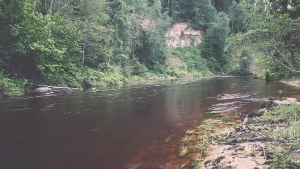 Rivière de montagne en été entouré par la forêt - vintage rétro — Photo