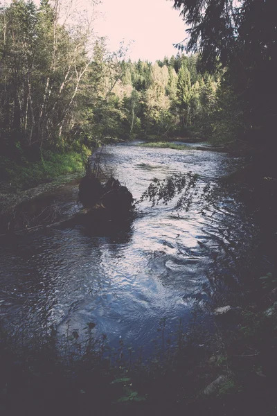 Río de montaña en verano rodeado de bosque - vintage retro —  Fotos de Stock