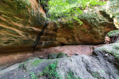 kumtaşı kayalıklarla Gaujas Milli Parkı, Letonya