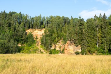 kumtaşı kayalıklarla Gaujas Milli Parkı, Letonya