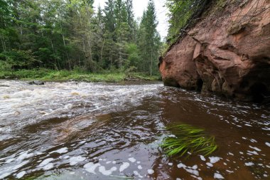 kumtaşı kayalıklarla Gaujas Milli Parkı, Letonya