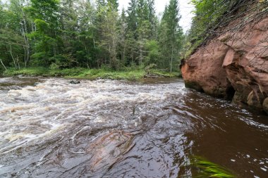 kumtaşı kayalıklarla Gaujas Milli Parkı, Letonya