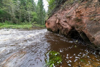 kumtaşı kayalıklarla Gaujas Milli Parkı, Letonya