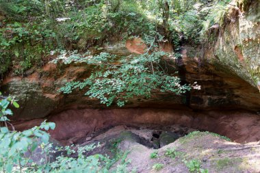kumtaşı kayalıklarla Gaujas Milli Parkı, Letonya