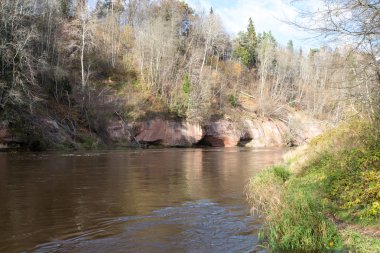 kumtaşı kayalıklarla Gaujas Milli Parkı, Letonya