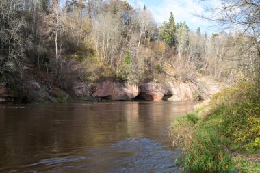 kumtaşı kayalıklarla Gaujas Milli Parkı, Letonya