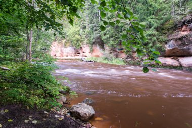 kumtaşı kayalıklarla Gaujas Milli Parkı, Letonya