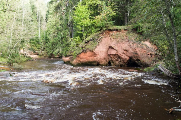 Tebing batu pasir di Taman Nasional Gaujas, Latvia — Stok Foto