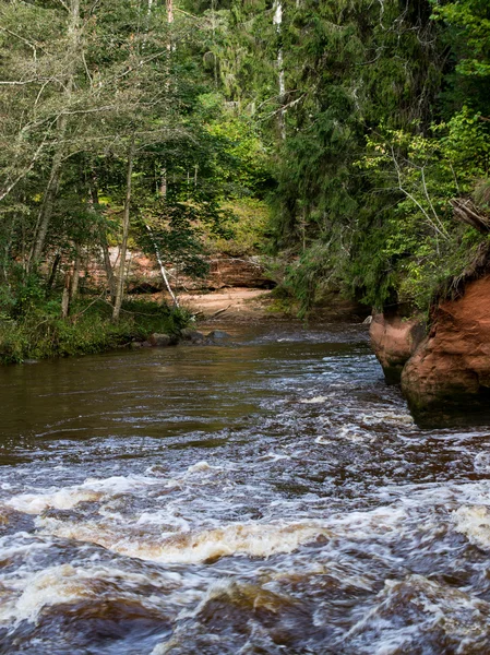 Zandstenen rotsen in de Gaujas Nationaalpark, Letland — Stockfoto