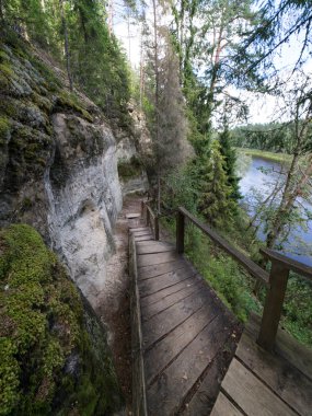 Antik kumtaşı kayalıklarla Gaujas Milli Parkı, Letonya