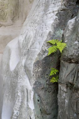 Antik kumtaşı kayalıklarla Gaujas Milli Parkı, Letonya