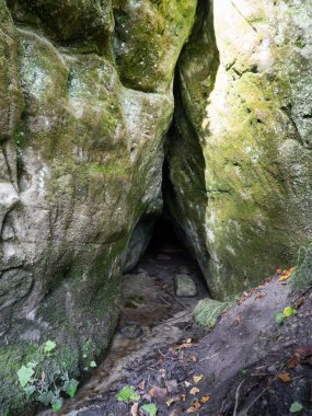 Antik kumtaşı kayalıklarla Gaujas Milli Parkı, Letonya