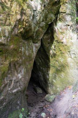 Antik kumtaşı kayalıklarla Gaujas Milli Parkı, Letonya