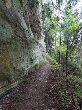 Antik kumtaşı kayalıklarla Gaujas Milli Parkı, Letonya