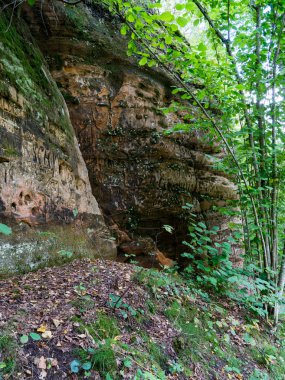 Antik kumtaşı kayalıklarla Gaujas Milli Parkı, Letonya