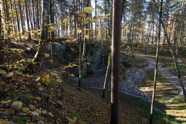 Antik kumtaşı kayalıklarla Gaujas Milli Parkı, Letonya