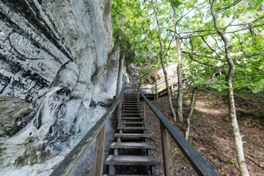 Antik kumtaşı kayalıklarla Gaujas Milli Parkı, Letonya