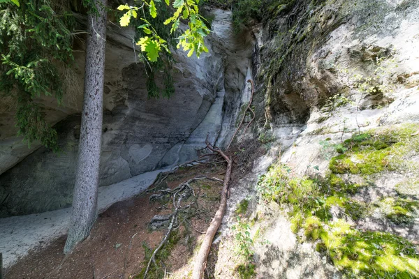 Antiguos acantilados de arenisca en el Parque Nacional Gaujas, Letonia —  Fotos de Stock