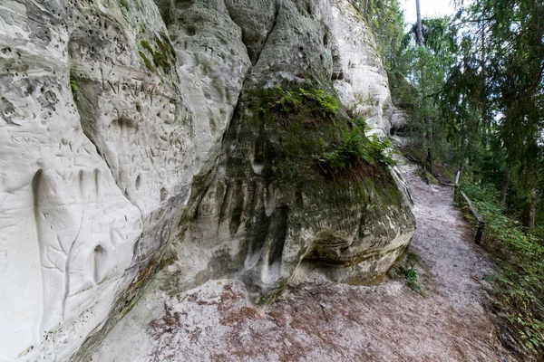 Antiguos acantilados de arenisca en el Parque Nacional Gaujas, Letonia —  Fotos de Stock