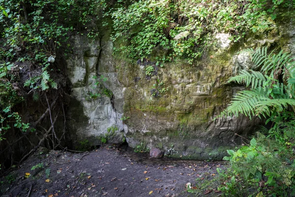 Antieke zandstenen rotsen in het Gaujas National Park, Letland — Stockfoto