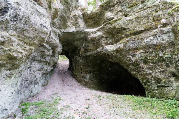 Antiguos acantilados de arenisca en el Parque Nacional Gaujas, Letonia — Foto de Stock