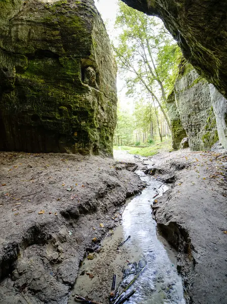 Gaujas 国立公園、ラトビアで古代の砂岩の崖 — ストック写真