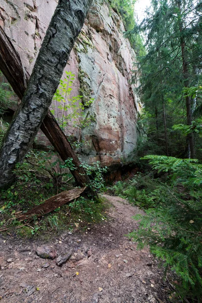 Стародавні пісковика скелі в Gaujas Національний парк, Латвія — стокове фото