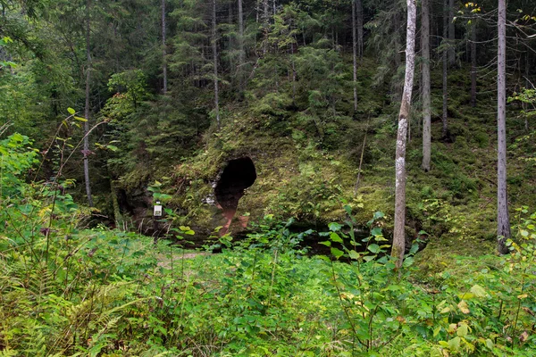 Antieke zandstenen rotsen in het Gaujas National Park, Letland — Stockfoto