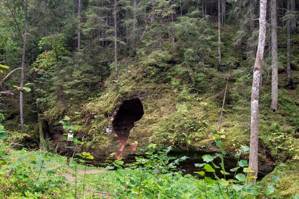 Antiguos acantilados de arenisca en el Parque Nacional Gaujas, Letonia —  Fotos de Stock