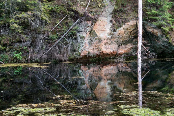 Antiche scogliere di arenaria nel Parco Nazionale di Gaujas, Lettonia — Foto Stock