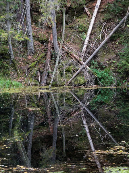 Antiguos acantilados de arenisca en el Parque Nacional Gaujas, Letonia —  Fotos de Stock