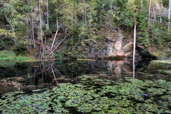 Antiche scogliere di arenaria nel Parco Nazionale di Gaujas, Lettonia — Foto Stock