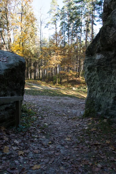 Древние скалы из песчаника в Национальном парке Гауяс, Латвия — стоковое фото
