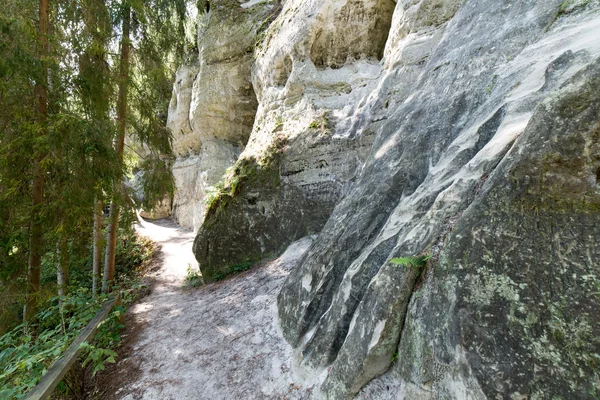Gaujas 国立公園、ラトビアで古代の砂岩の崖 — ストック写真